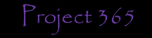 Project 365