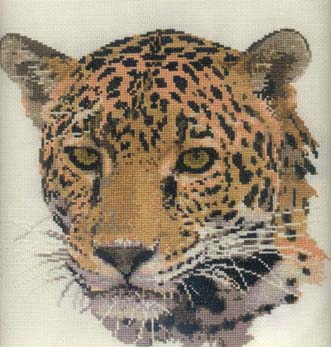 [jaguar2.jpg]