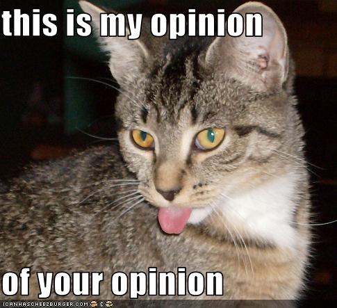 funny-pictures-cat-hates-your-opinion-762465.jpg