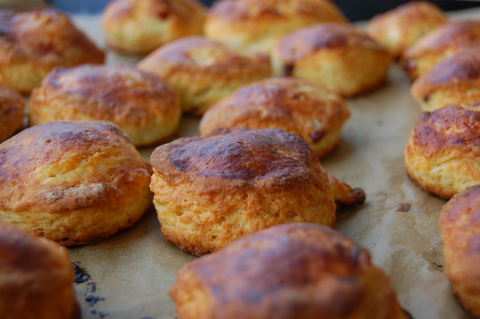[scones1.JPG]
