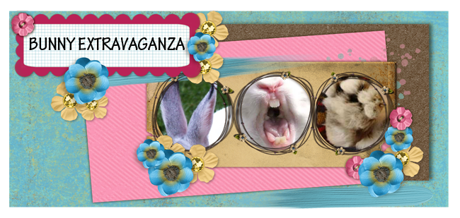 Bunny Extravaganza
