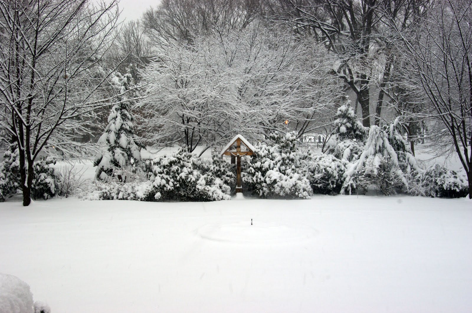 [2010FEB+001.jpg]