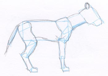 pencil sketch of generic animal with blue guidelines