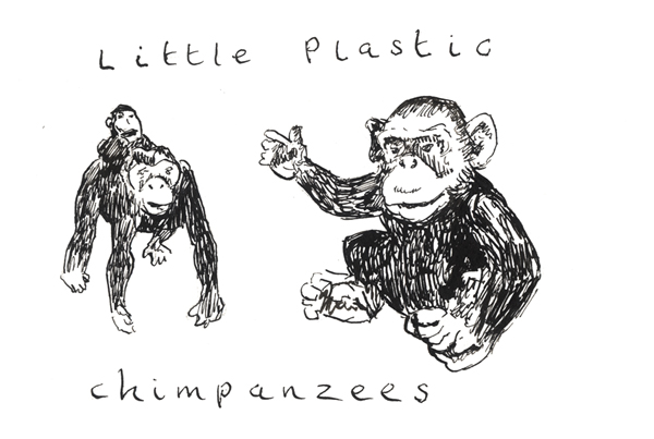 [chimps.jpg]