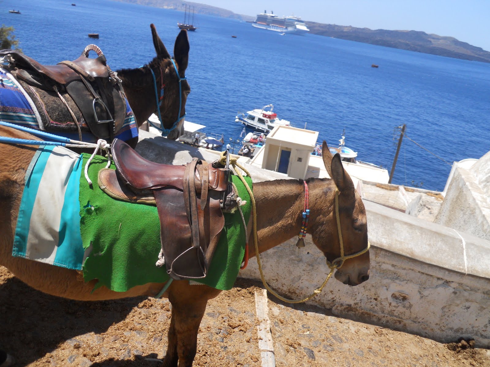 S'agapo Hellas: The Santorini