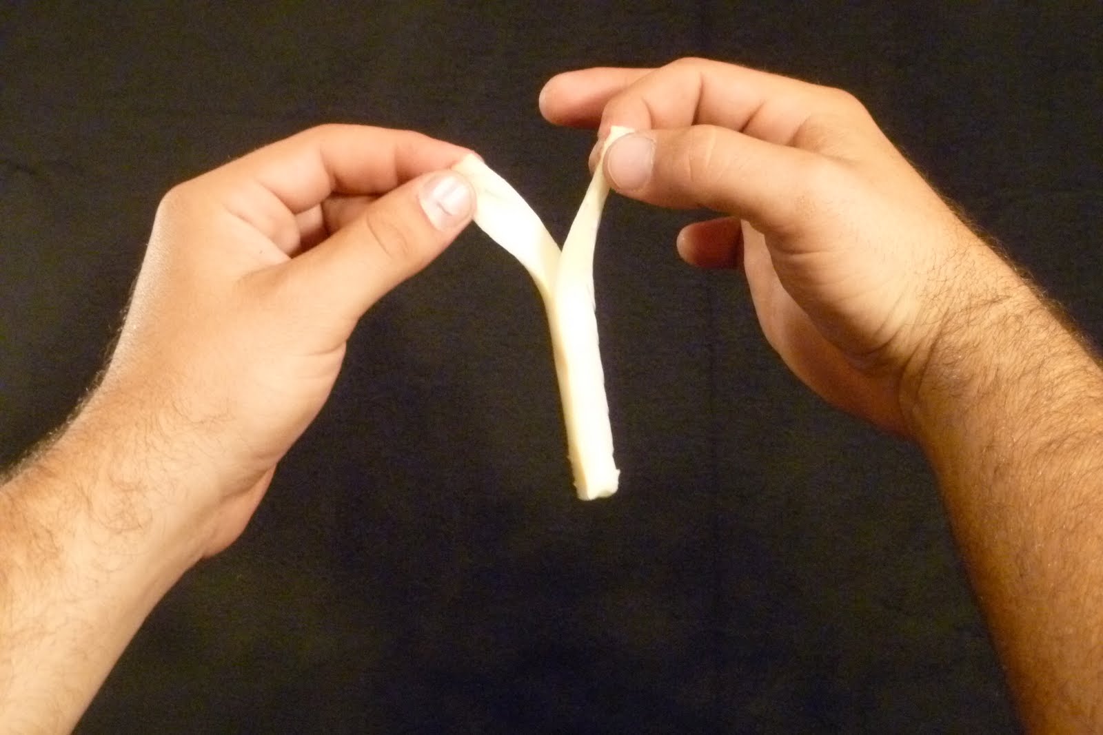 drjunkfood The String Cheese Incident