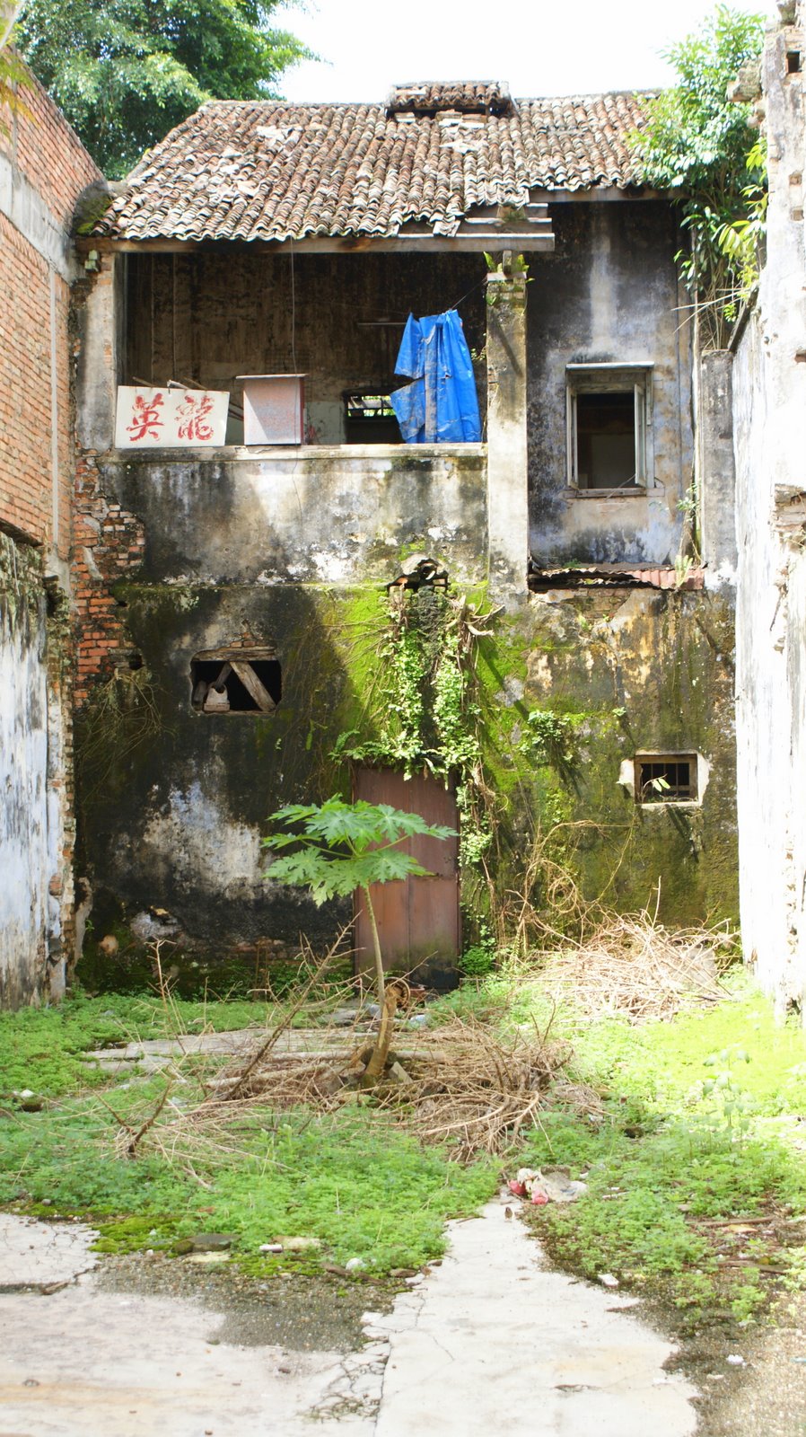 [DSC00108.JPG]