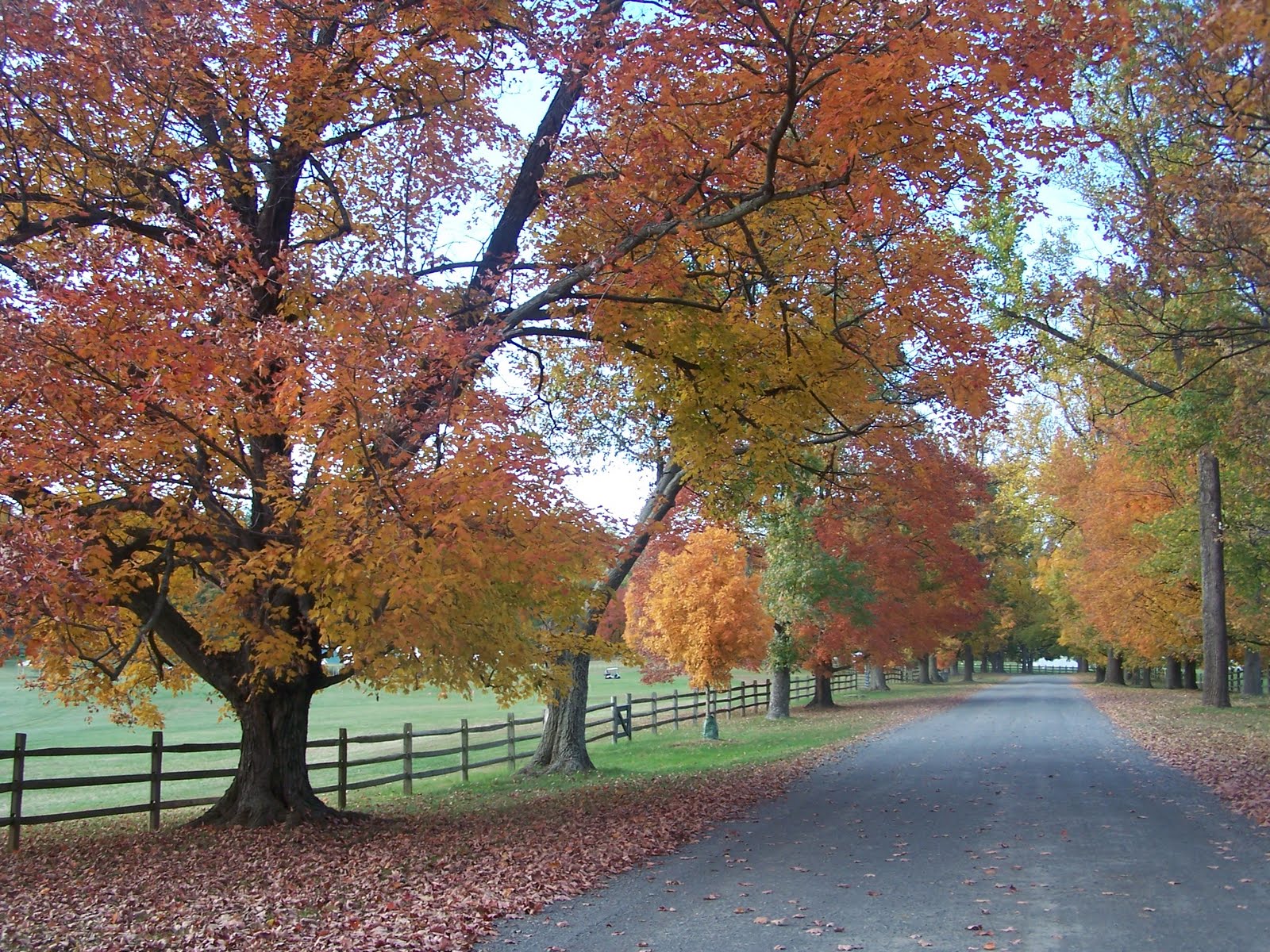 Image result for fall loudoun county