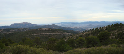 vista panorámica