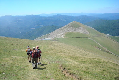 Prado alpino