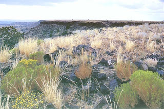 La Bajada Mesa & Escarpment