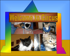 Welcome to the Circus