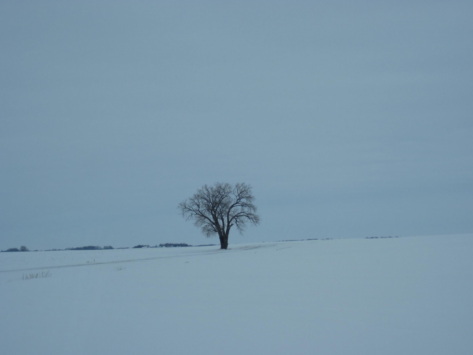 Gordon W. Fredrickson Tracy Library, Tracy, MN