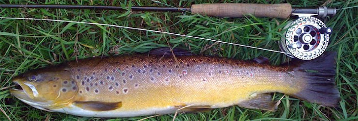 Kirkby Stephen & District Angling Association