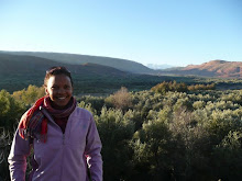 on the way to the sahara