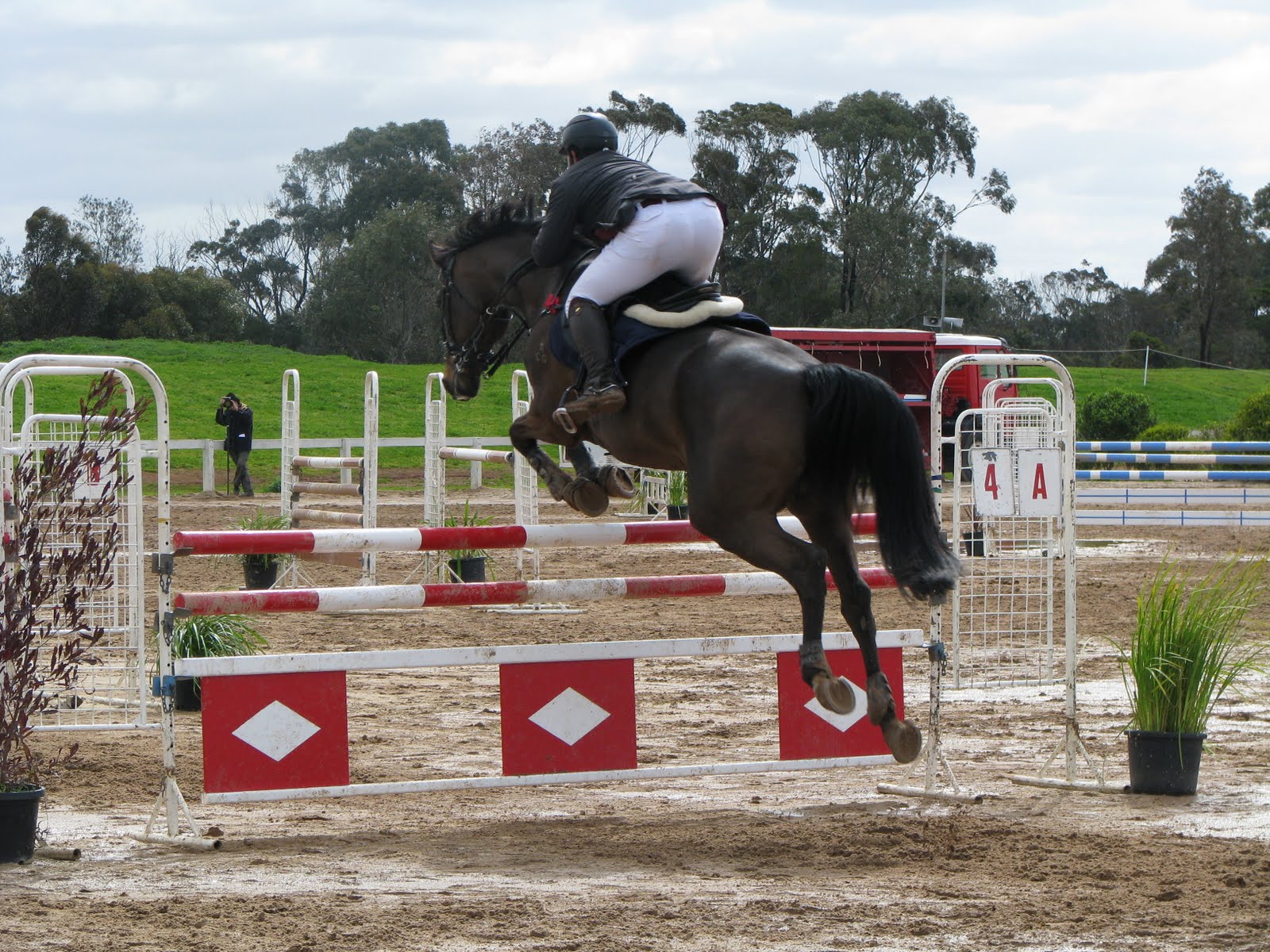 Hawke Nest Melbourne Equestrian Center