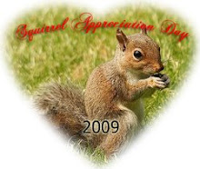 Everyday is Squirrel Appreciation Day!