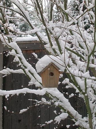 [Birdhouse.jpg]