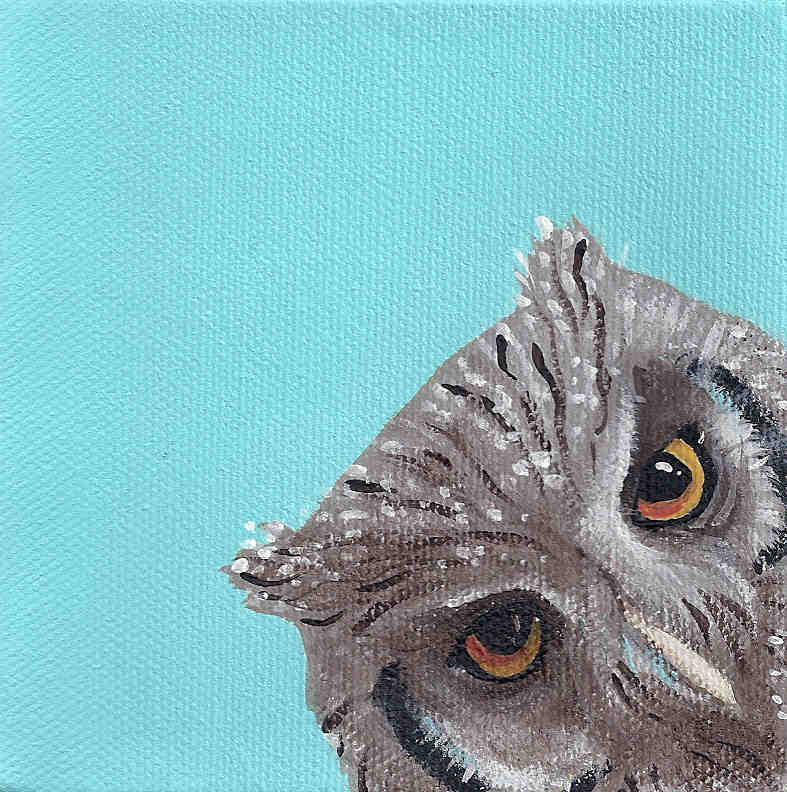 [eared+owl.jpg]