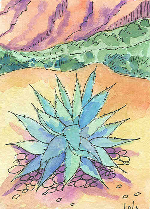 [a+is+for+agave.jpg]