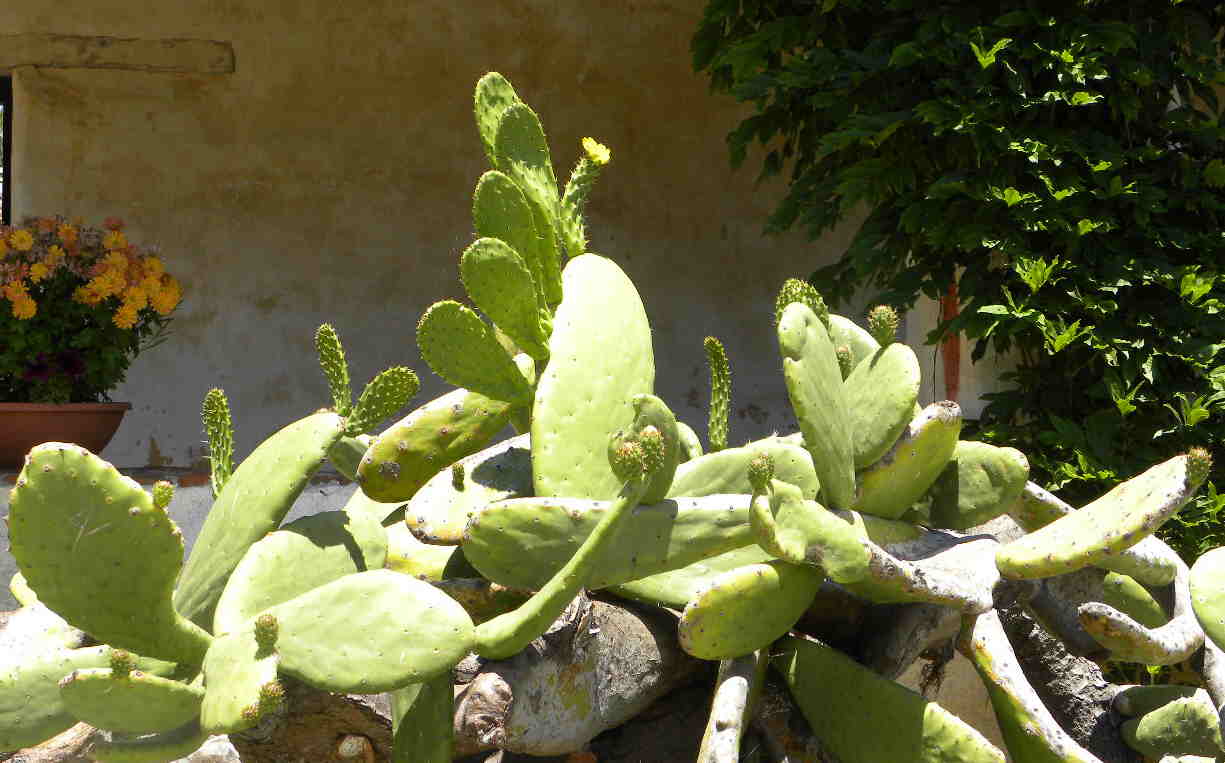 [DSCN0159.JPG]