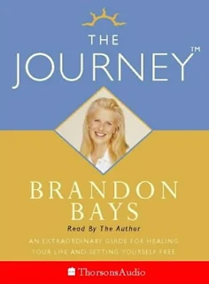 The Journey by Brandon Bays book cover