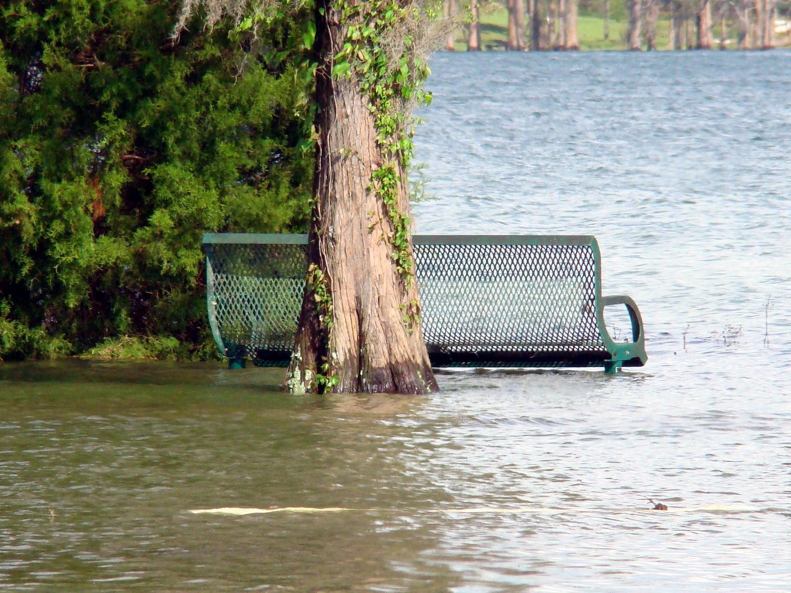 [bench+under+water.jpg]