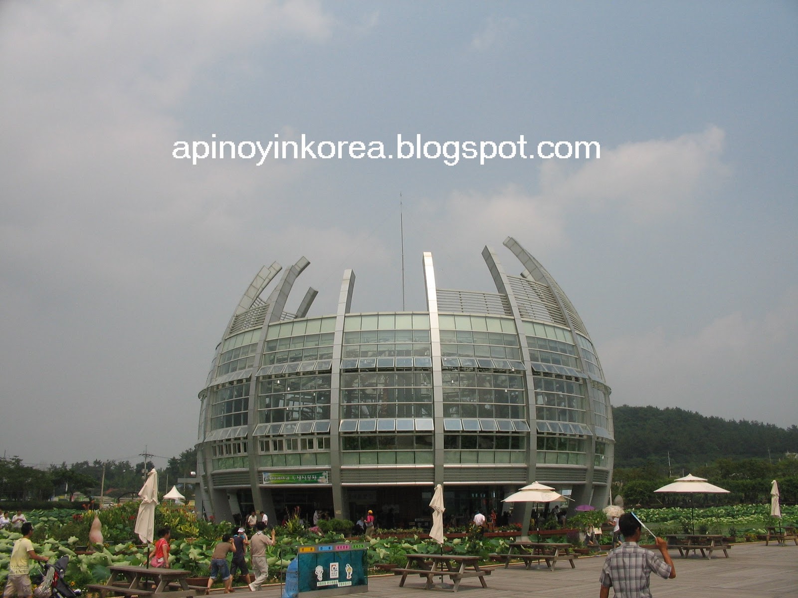 Lotus korea балаково