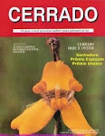 Revista para baixar