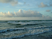 a line of pelicans on the horizon --in the wave's wake