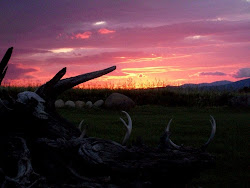 Sunset on the Hill