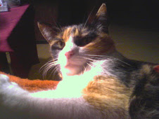 atacadora de perros suelta por el barrio!