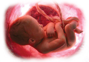El Hipo Del Bebe En El Vientre Materno Embarazo Online