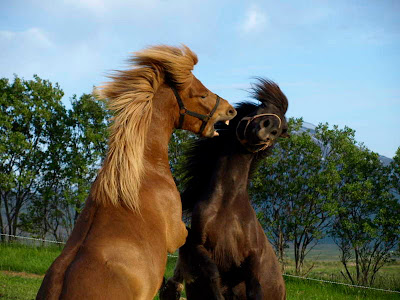 Wunderbares coolphotos verschicken karte Velkomin: Schönes Wochenende
