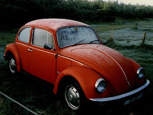 MY OTHER CAR