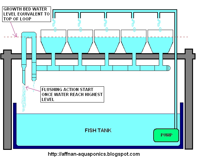 Aquaponic Flow Diagram, Aquaponic, Free Engine Image For ...