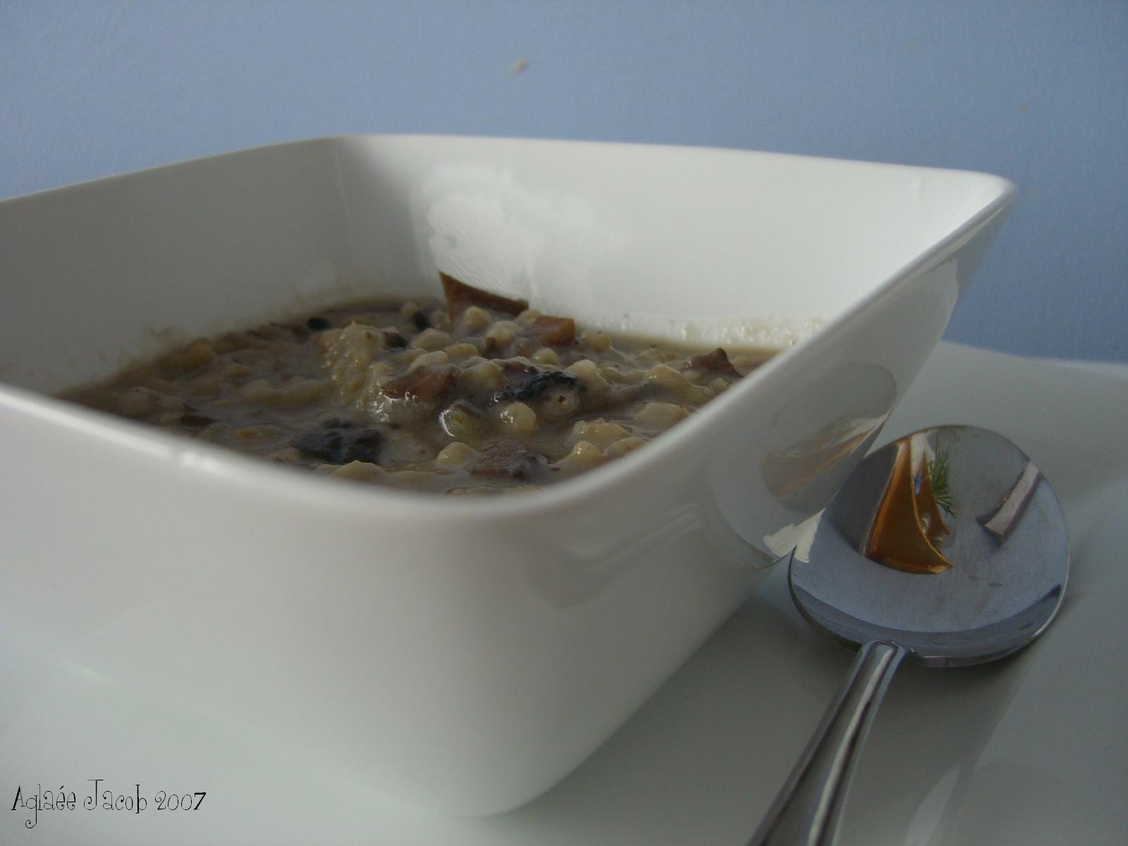 [barley-mushroom+soup.JPG]