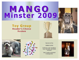 Mango Minster 2009 - Toy Group