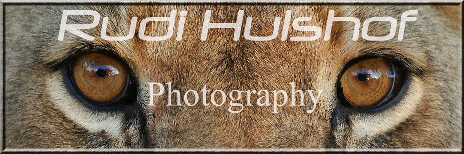 Rudi Hulshof Photography