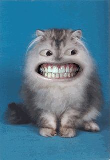 Image.6.775466316@web31706.mail.mud.yahoo.com.gif