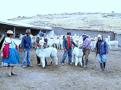 cobertizo para albergar ganado empresas en per 250 ministerio de agricultura construir 225 cobertizo para albergar ganado empresas en per 250 ministerio de agricultura construir 225