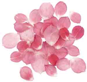 Dried rose petals (You can use
