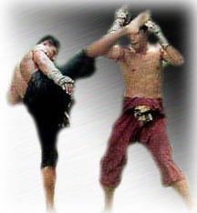 [pak-look-thoy.jpg]