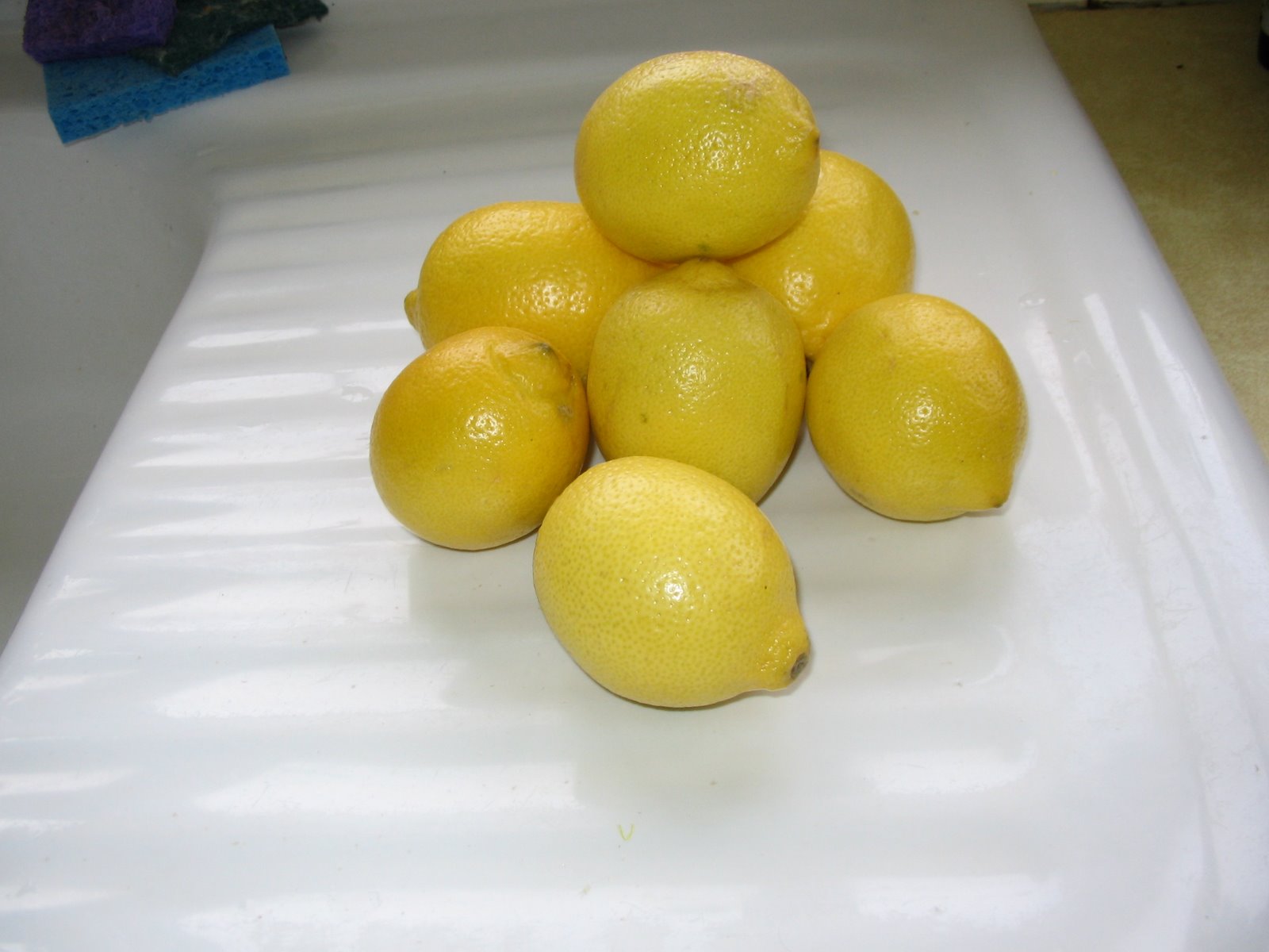 [lemons+002.JPG]