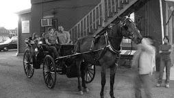 Trotter Carriage Company