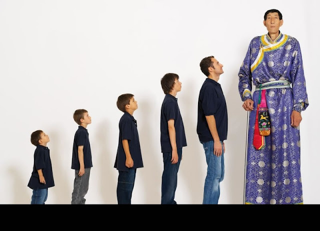 Tales Of A Tall Guy: Tales of A Tall Guy