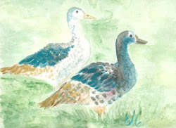 how to paint ducks in watercolor 1