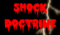 [shock-doctrine.png]