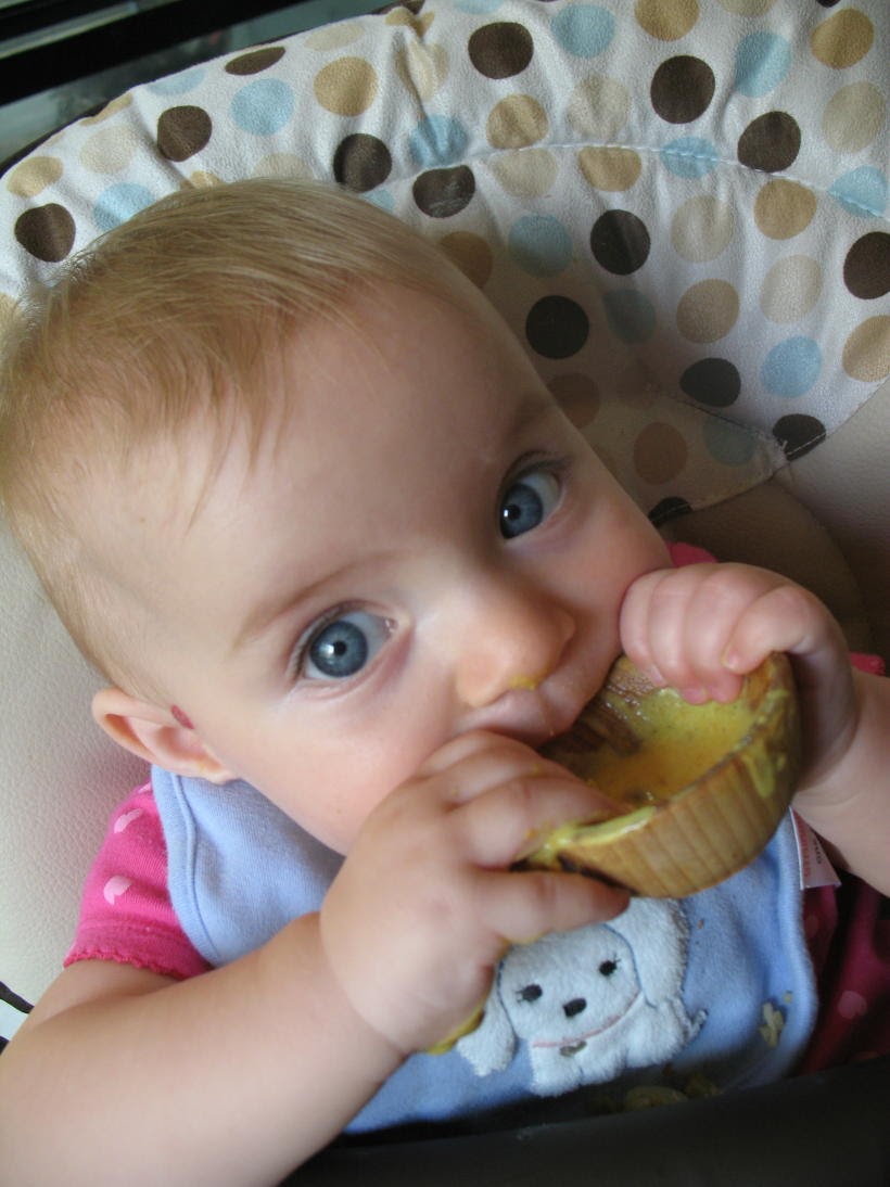 your-baby-eats-what-recipe-for-chicken-bites-with-curried-yogurt-dipping-sauce-finger-food