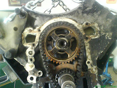 Timing Chain Loose